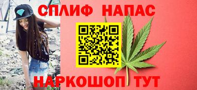 спиды Моздок