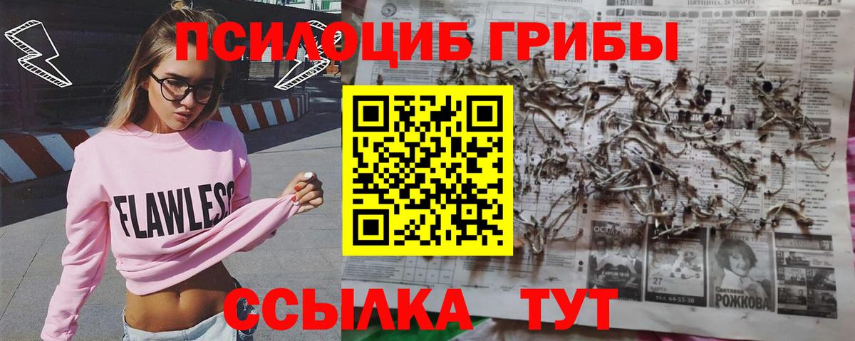 Псилоцибиновые грибы мухоморы  Псилоцибиновые грибы Psilocybine cubensis  Вход с VPN  Карпинск 
